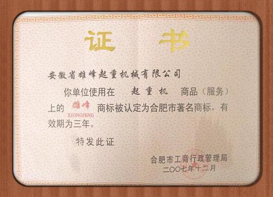 雄峰產(chǎn)品被評為合肥