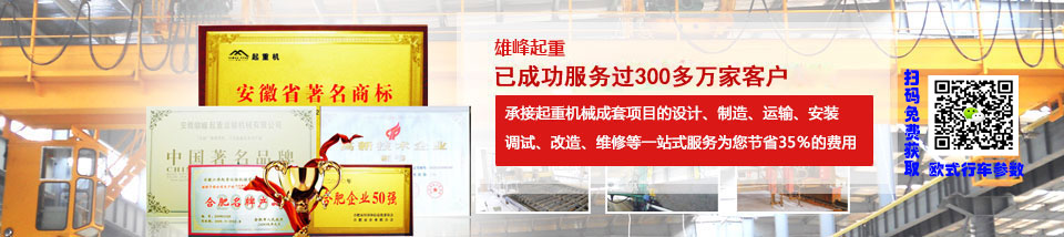 雄峰起重安徽省最大的專(zhuān)業(yè)起重機(jī)生產(chǎn)企業(yè)